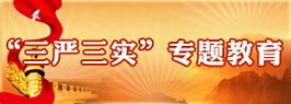 “三严三实”专题教育